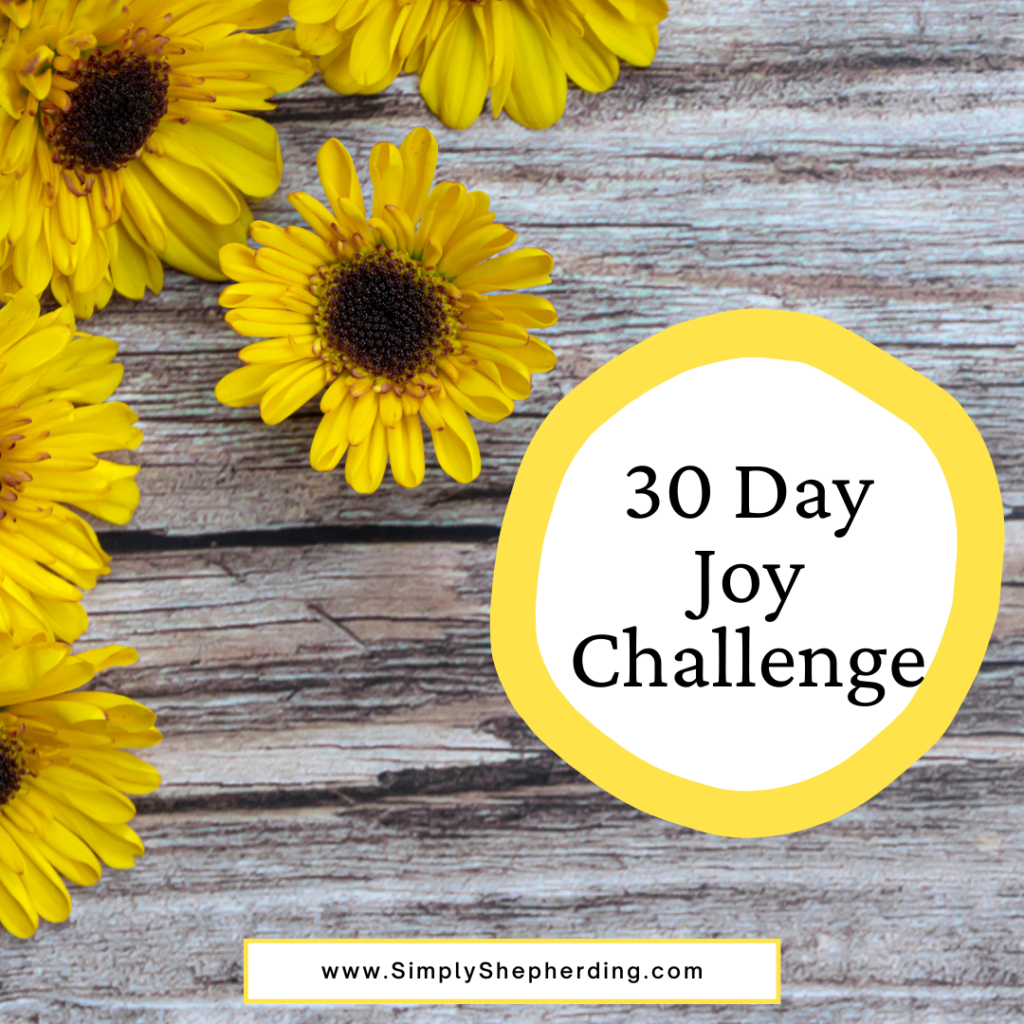 30 Day Joy Challenge